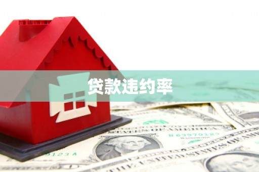 扎囊贷款违约率