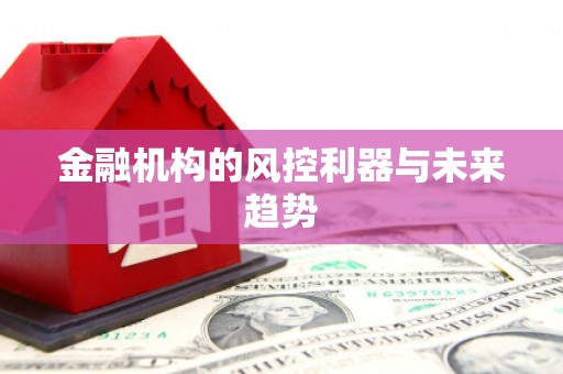 扎囊金融机构的风控利器与未来趋势