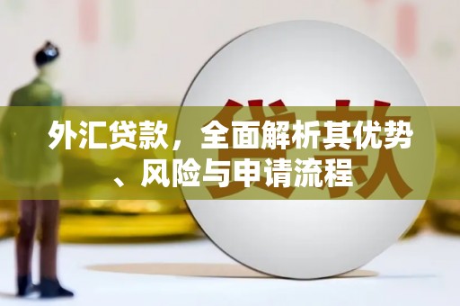 扎囊外汇贷款，全面解析其优势、风险与申请流程