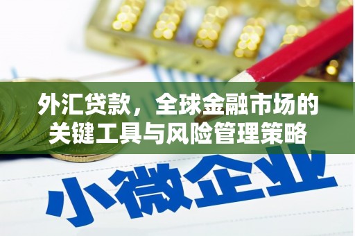 扎囊外汇贷款，全球金融市场的关键工具与风险管理策略