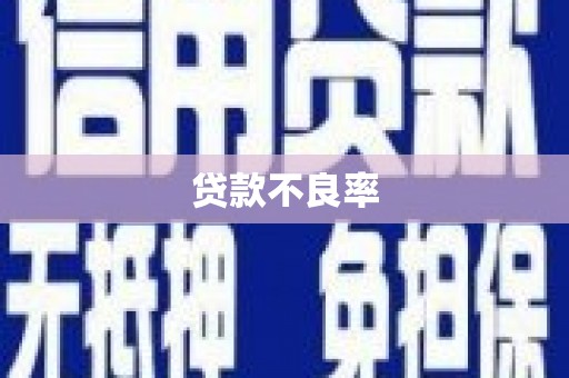 扎囊贷款不良率