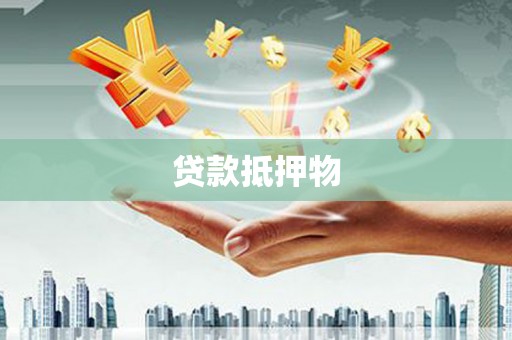 扎囊贷款抵押物