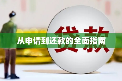 扎囊从申请到还款的全面指南