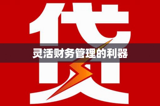 扎囊灵活财务管理的利器