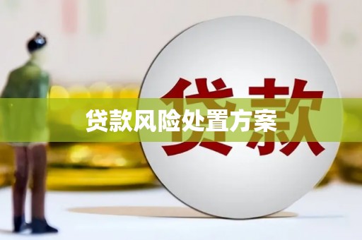扎囊贷款风险处置方案