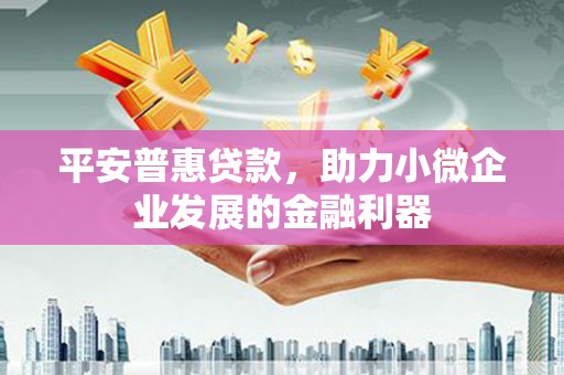 扎囊平安普惠贷款，助力小微企业发展的金融利器