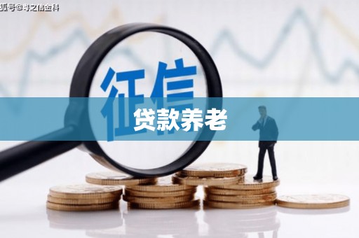 扎囊贷款养老