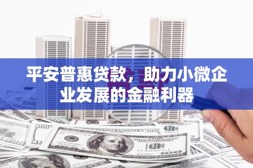 扎囊平安普惠贷款，助力小微企业发展的金融利器