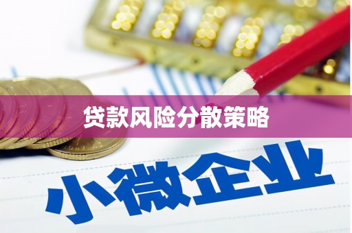 扎囊贷款风险分散策略