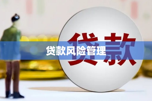 扎囊贷款风险管理