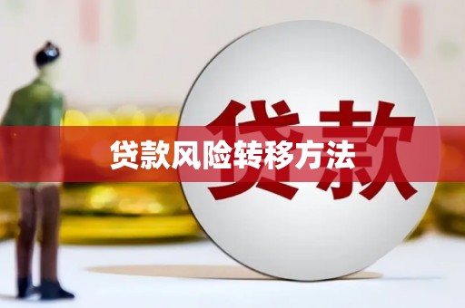 扎囊贷款风险转移方法