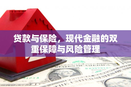 扎囊贷款与保险，现代金融的双重保障与风险管理