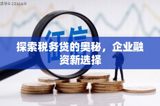 扎囊探索税务贷的奥秘，企业融资新选择