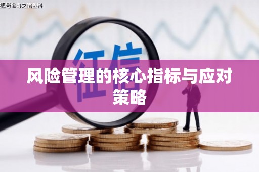 扎囊风险管理的核心指标与应对策略