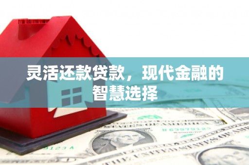 扎囊灵活还款贷款，现代金融的智慧选择