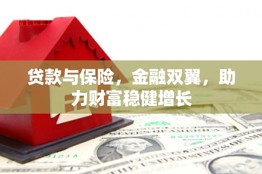 扎囊贷款与保险，金融双翼，助力财富稳健增长
