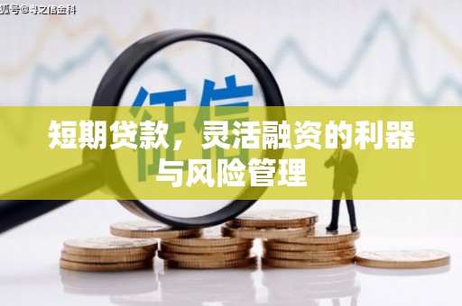 扎囊短期贷款，灵活融资的利器与风险管理