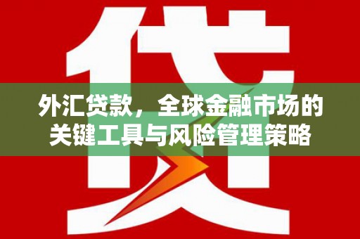 扎囊外汇贷款，全球金融市场的关键工具与风险管理策略