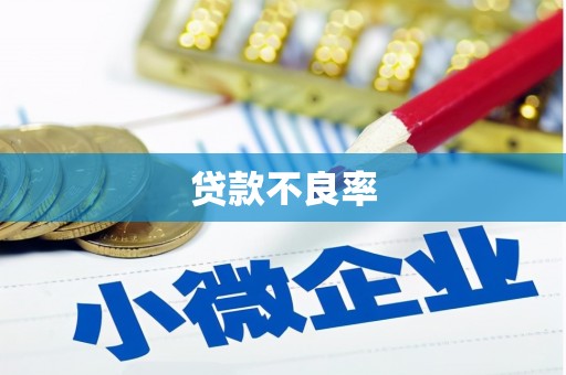 扎囊贷款不良率