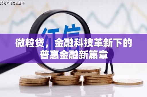 扎囊微粒贷，金融科技革新下的普惠金融新篇章