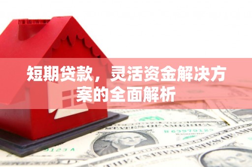 扎囊短期贷款，灵活资金解决方案的全面解析