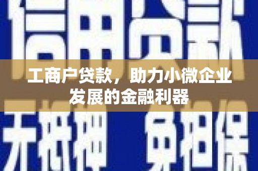扎囊工商户贷款，助力小微企业发展的金融利器