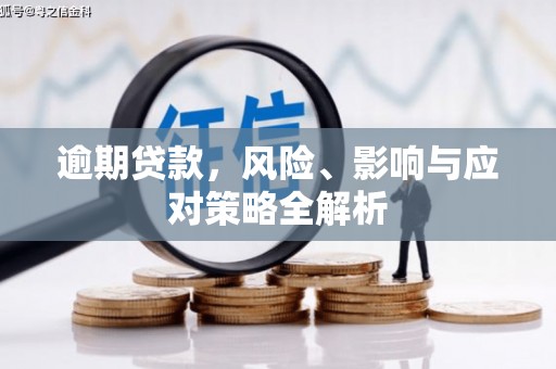 扎囊逾期贷款，风险、影响与应对策略全解析