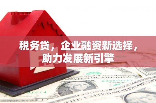 扎囊税务贷，企业融资新选择，助力发展新引擎