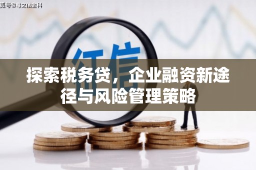 扎囊探索税务贷，企业融资新途径与风险管理策略