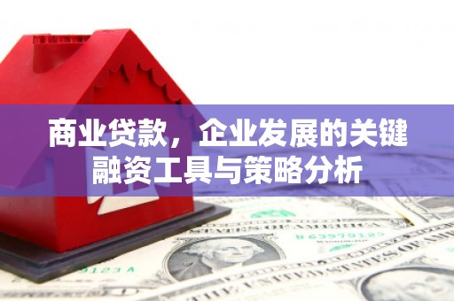 扎囊商业贷款，企业发展的关键融资工具与策略分析