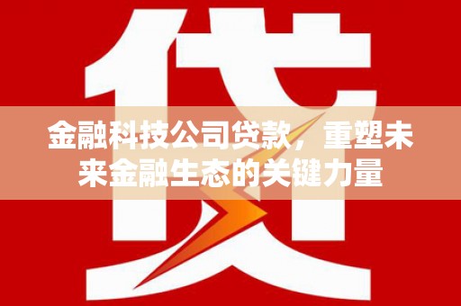 扎囊金融科技公司贷款，重塑未来金融生态的关键力量