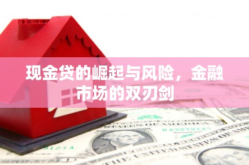 扎囊现金贷的崛起与风险，金融市场的双刃剑