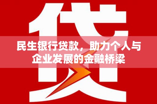 扎囊民生银行贷款，助力个人与企业发展的金融桥梁