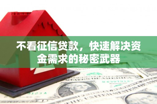 扎囊不看征信贷款，快速解决资金需求的秘密武器