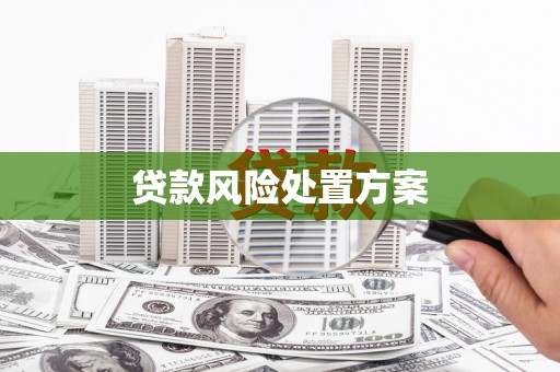 扎囊贷款风险处置方案
