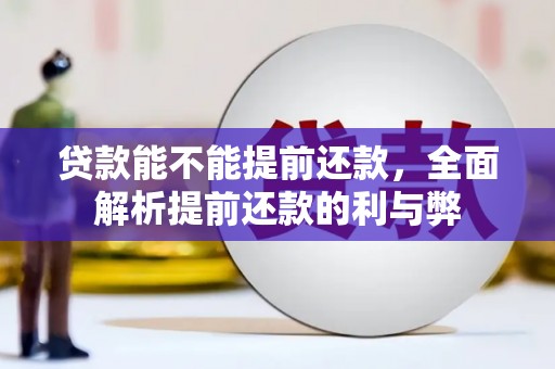 扎囊贷款能不能提前还款，全面解析提前还款的利与弊