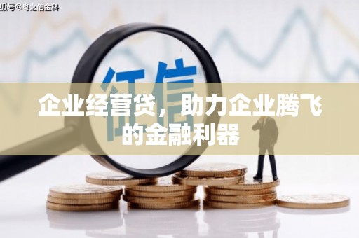 扎囊企业经营贷，助力企业腾飞的金融利器