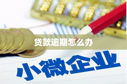 扎囊贷款逾期怎么办