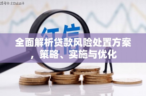 扎囊全面解析贷款风险处置方案，策略、实施与优化