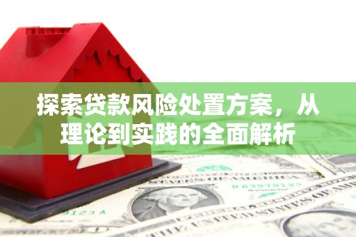 扎囊探索贷款风险处置方案，从理论到实践的全面解析
