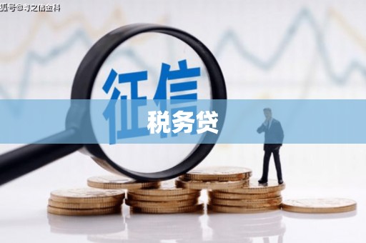 扎囊税务贷
