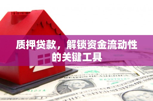 扎囊质押贷款，解锁资金流动性的关键工具