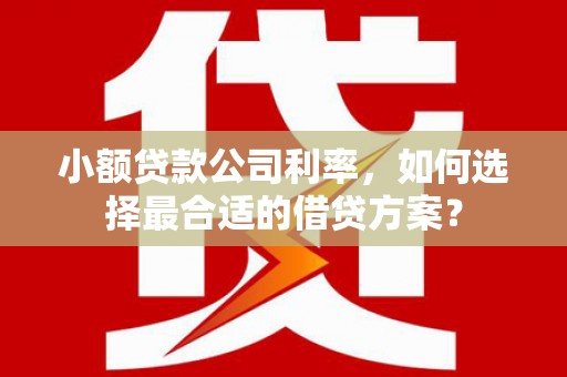 扎囊小额贷款公司利率，如何选择最合适的借贷方案？