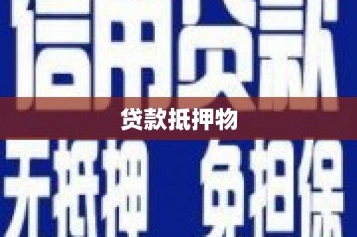 扎囊贷款抵押物