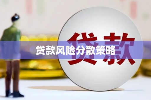 扎囊贷款风险分散策略