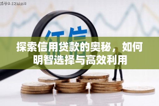 扎囊探索信用贷款的奥秘，如何明智选择与高效利用