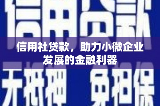 扎囊信用社贷款，助力小微企业发展的金融利器