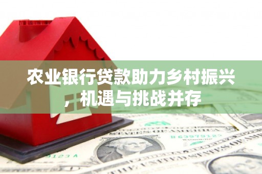扎囊农业银行贷款助力乡村振兴，机遇与挑战并存
