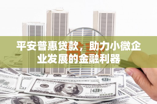 扎囊平安普惠贷款，助力小微企业发展的金融利器
