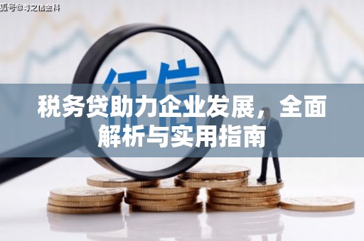 扎囊税务贷助力企业发展，全面解析与实用指南